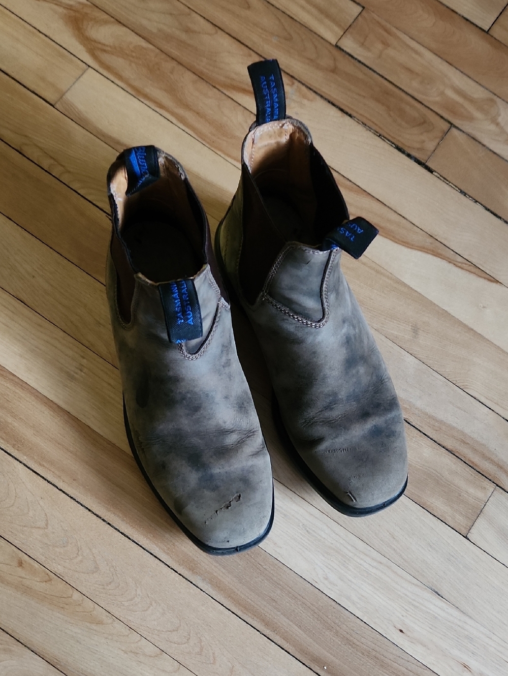 Blundstone Men's Chukka Boots in Olive Green and Brown